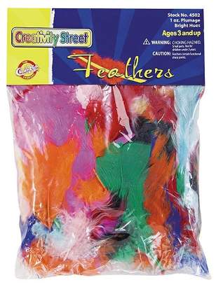 Scrapbook Creativity Street® Bright Hues Feather - Multi-Colored