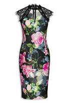 Thumbnail for your product : Next Womens Black/Pink Lace High Neck Bodycon Dress