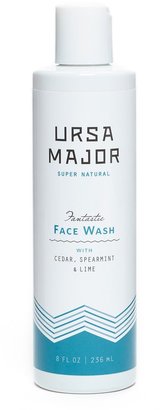 Ursa Major Fantastic Face Wash