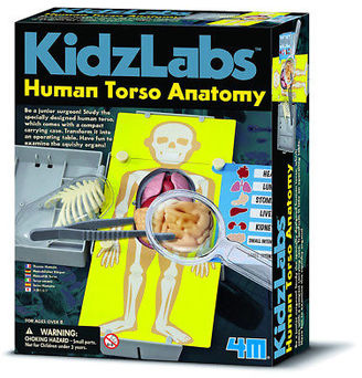 NEW Kidz Labs Human Torso Anatomy Kit