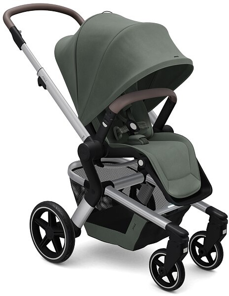 the first years ignite stroller naturalization