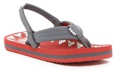 Thumbnail for your product : Reef Ahi Glow Red Shark Thong Sandal (Toddler, Little Kid, & Big Kid)