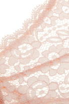 Thumbnail for your product : Stella McCartney Isabelle Wondering lace and stretch-tulle briefs