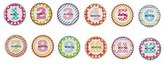 Thumbnail for your product : Mud Pie Monthly Milestone Stickers (Baby Girls)