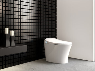 CastelloUSA Dual-Flush Elongated Bidet Toilet (Seat Included)