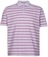 Thumbnail for your product : Marks and Spencer M&s Collection Regular Fit Pure Cotton Striped Polo Shirt