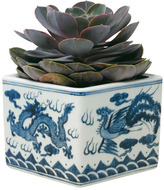 Thumbnail for your product : OKA Exclusive - Kraak Ming-Design Planter