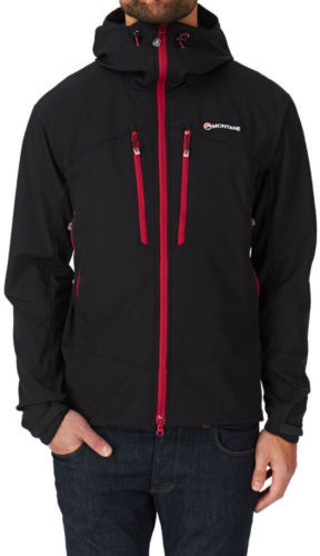 montane sabretooth