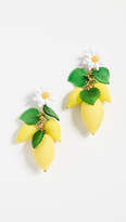Thumbnail for your product : Elizabeth Cole Thaddea Earrings