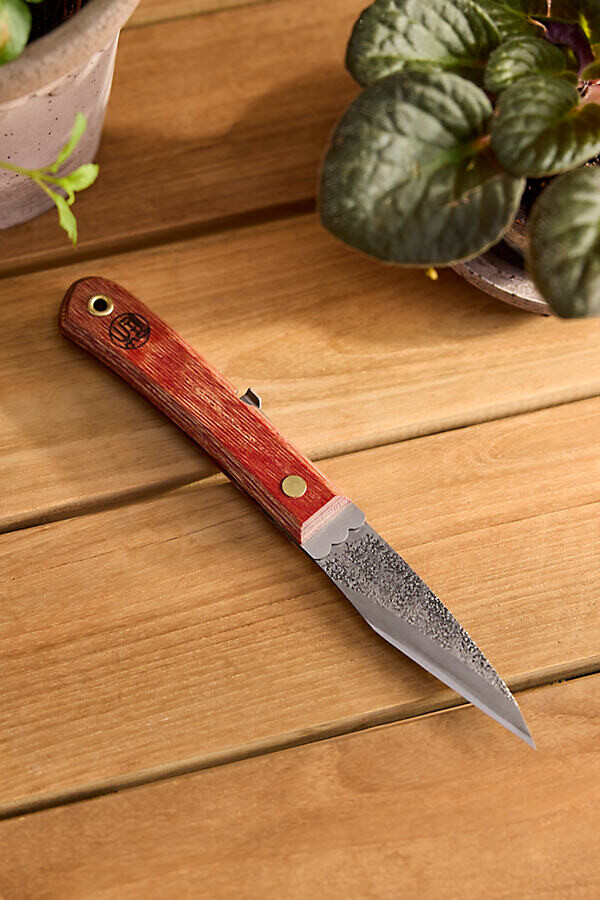Niwaki Folding Knife at Terrain