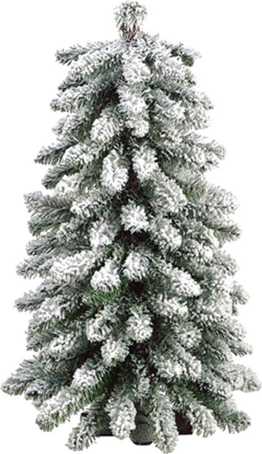 Creative Displays 2Ft White Snow Flocked Evergreen Tree ShopStyle