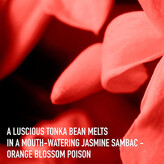 Thumbnail for your product : Christian Dior Hypnotic Poison Eau De Parfum 100ml