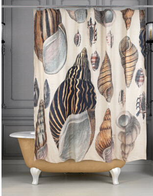 Rosecliff Heights Conchology Shower Curtain