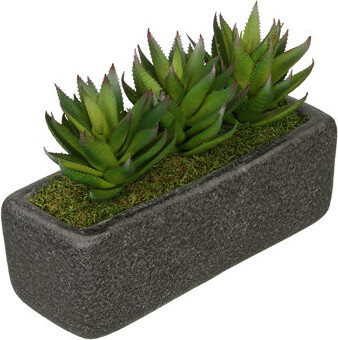 House of Silk Flowers Inc. Artificial Green Aloe Plant in Decorative Vase