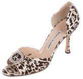 Thumbnail for your product : Manolo Blahnik Leopard Embellished Sandals Brown Leopard Embellished Sandals