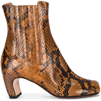 python booties