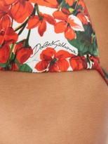 Thumbnail for your product : Dolce & Gabbana Portofino Floral-print Halterneck Bikini Top - Red Print