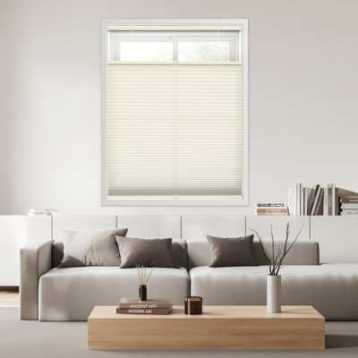 Symple Stuff Coursey Semi-Sheer Light Filtering Top Down Bottom Up Cellular Shade