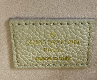 Louis Vuitton Felicie Pochette Spring in the City Monogram