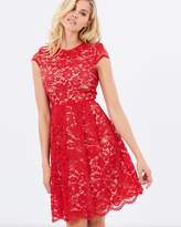 Thumbnail for your product : Maya Scallop Lace Dress