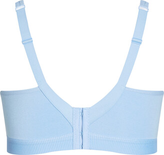 HIPS & CURVES Wire Free Soft Cup Bra - blue