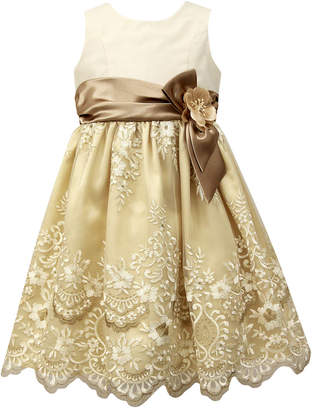 Jayne Copeland Embroidered Tulle Dress, Toddler Girls