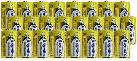 Mustang 24-Pack Alkaline D Batteries