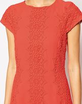 Thumbnail for your product : Warehouse Lace A Line Dress