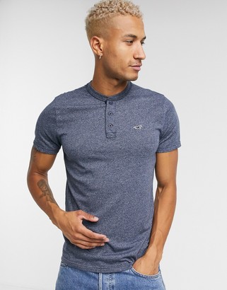 henley hollister