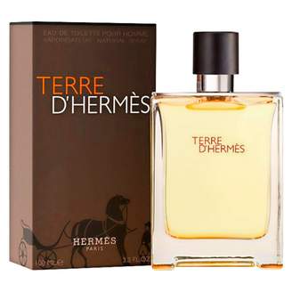 Hermes Terre D'Hermes Pour Homme EDT 100 mL
