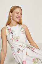 Thumbnail for your product : Coast Cotton Fit And Flare Dress