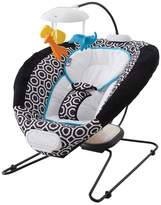 Thumbnail for your product : Fisher-Price Deluxe Bouncer