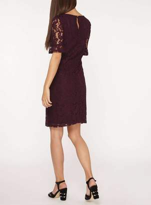 **Tall Berry Lace Flute Sleeve Shift Dress