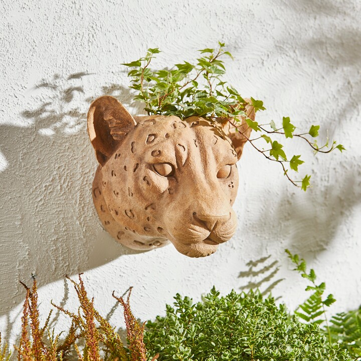 Dunelm Leopard Wall Planter Beige ShopStyle Garden Decor