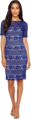 Adrianna Papell Women's Corded Stripe Lace Dress