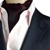 Thumbnail for your product : NiSeng Mens Classic Cravat Tie Ascot Paisley Jacquard Elegent Neckwear Neckties Black