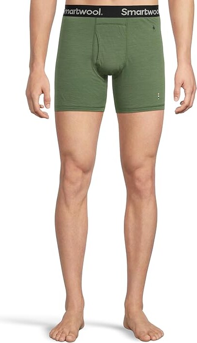 Smartwool Merino Boxer Brief Men's Underwear Fern Green : LG, Nylon/Wool