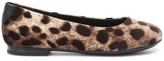 Thumbnail for your product : Dolce & Gabbana Children Leopard-print velvet ballet flats