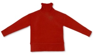charter club pure cashmere turtleneck sweater