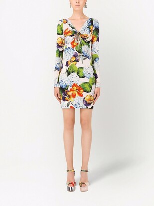 Dolce & Gabbana Floral-Print Mini Dress
