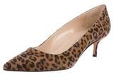 Thumbnail for your product : Manolo Blahnik Suede Printed Pumps