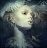 Thumbnail for your product : Trademark Global Anna Dittma Fly Wings Canvas Art