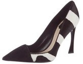 Thumbnail for your product : Christian Dior Songe Ponyhair Pumps