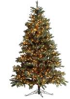 Thumbnail for your product : Pottery Barn Lit Faux Blue Spruce Christmas Trees