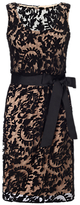 Thumbnail for your product : Adrianna Papell Lace Blouson Sash Dress