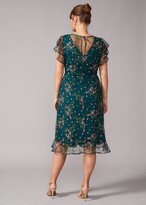 Thumbnail for your product : Studio 8 Aileen Floral Embroidered Dress