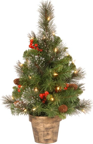 https://img.shopstyle-cdn.com/sim/12/19/1219bcc48a5b036c9072b4d1b9d6c5e8_best/national-tree-company-2-ft-pre-lit-artificial-mini-christmas-tree-green-crestwood-spruce-white-lights-pine-cones-frosted-branches-pot-base.jpg