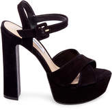 Thumbnail for your product : Steve Madden MARTA