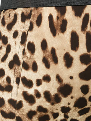 Dolce & Gabbana leopard print French knickers