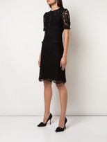 Thumbnail for your product : Adam Lippes Tailored Lace Dress